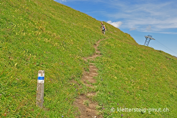 Wanderweg über grüne Wiesen von Servetsch Pinut zur Alp Flimserstein
